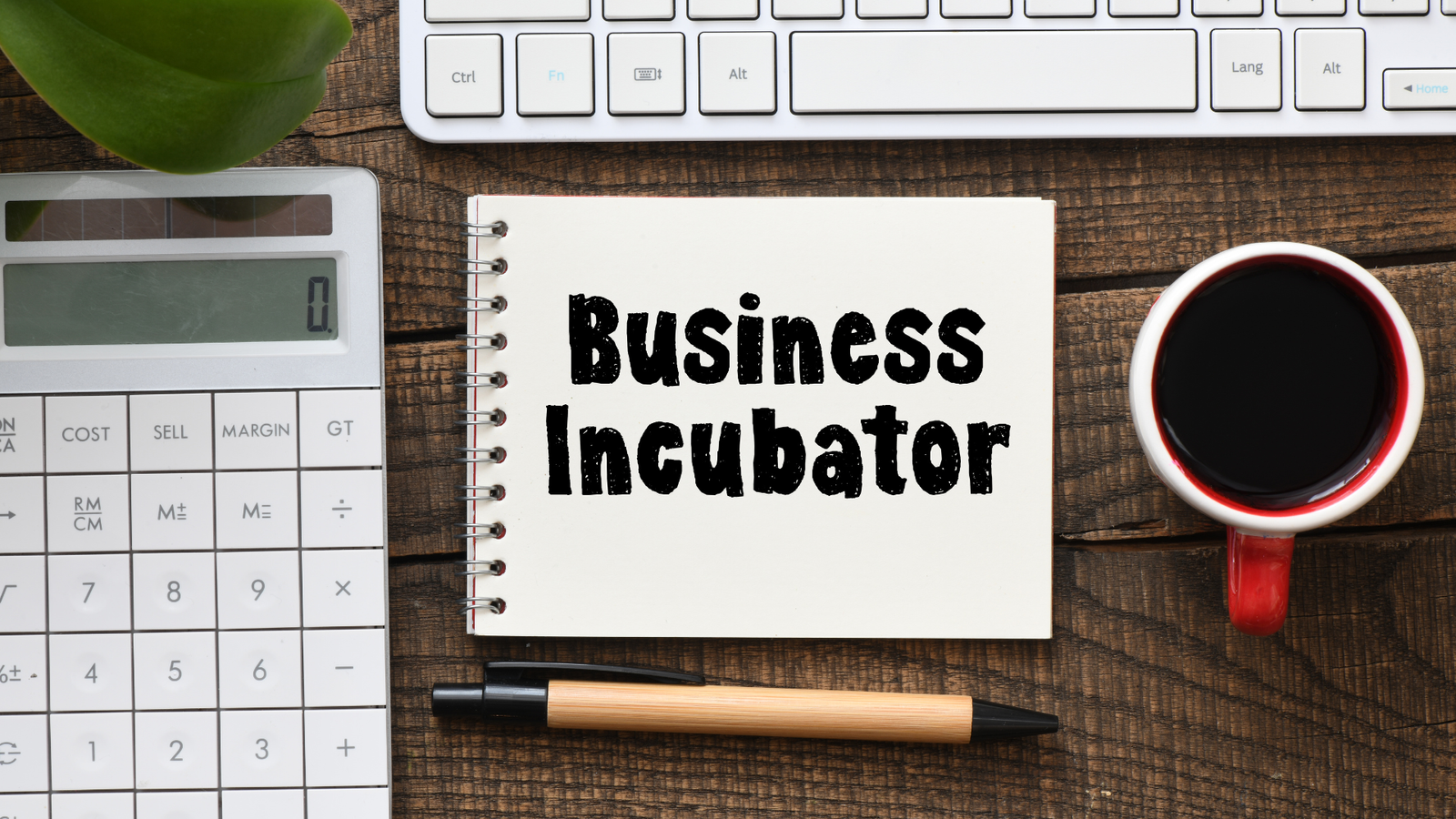 India Entry Strategy